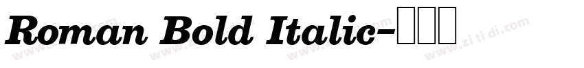 Roman Bold Italic字体转换
